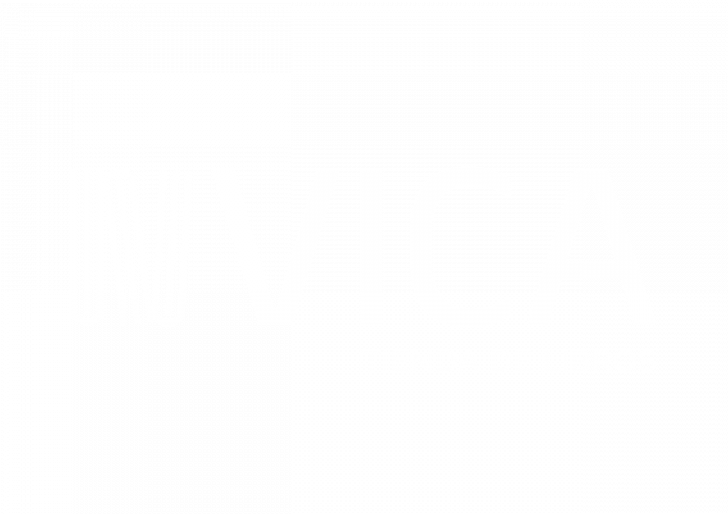 vica 2
